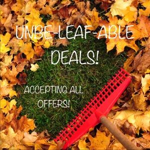 🍂 FALL CLEANOUT! 🍂